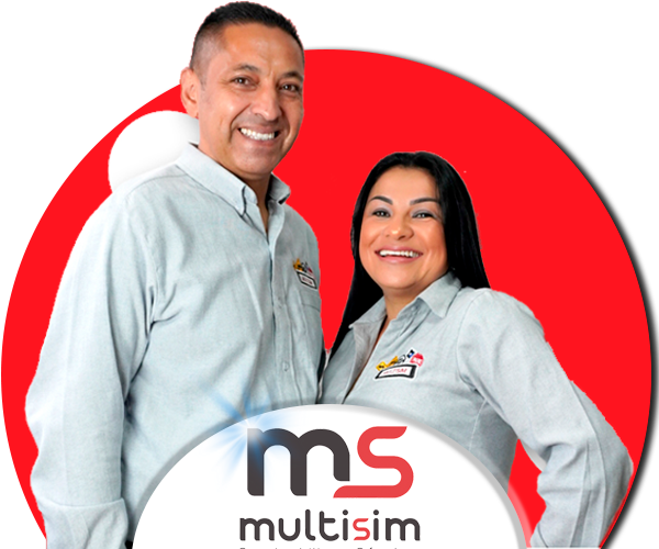 MULTISIN-MISION-VISION