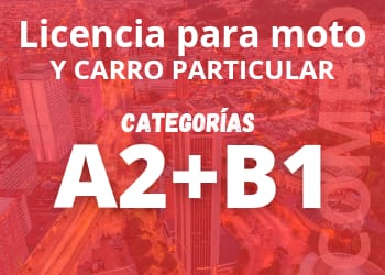 licencia A2 y B1 multisim
