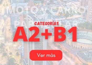 licencia A2 y B1 over multisim