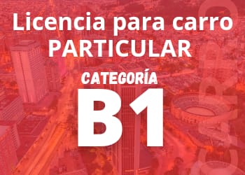 licencia B1 multisim