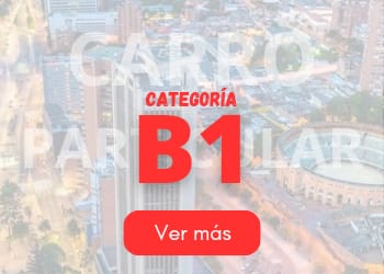 licencia B1 over multisim